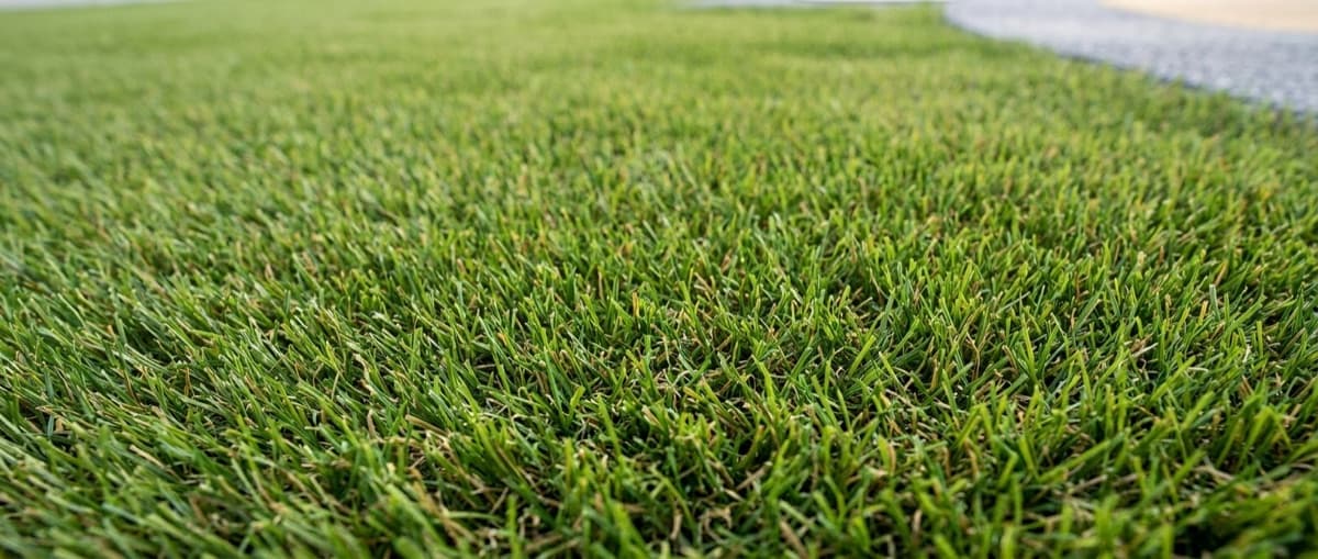 Artificial grass