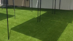 things to know about artificial grass before installing