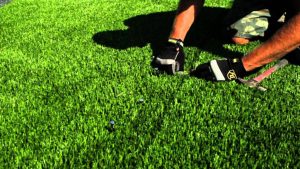 Artificial Lawn