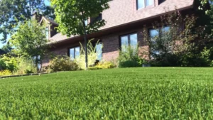 10 Artificial Grass Ideas to Enhance Your Front Garden