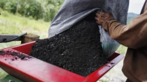 Biochar Cladding: What Is It & What Are Its Benefits?